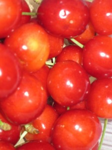 �摜(225x300)�E�g��摜(480x640)