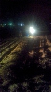 �摜(166x300)�E�g��摜(355x640)