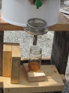 �摜(225x300)�E�g��摜(480x640)