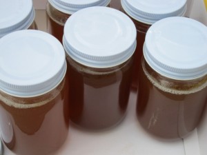 �摜(300x225)�E�g��摜(640x480)