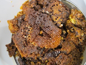 �摜(300x225)�E�g��摜(640x480)