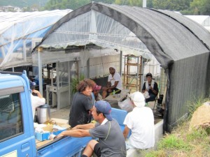 �摜(300x225)�E�g��摜(640x480)