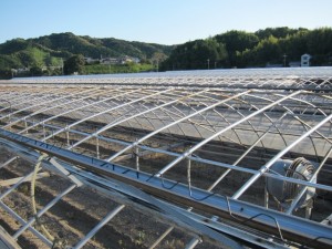 �摜(300x225)�E�g��摜(640x480)