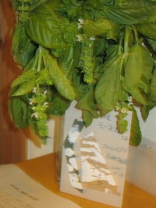 画像(225x300)・拡大画像(480x640)