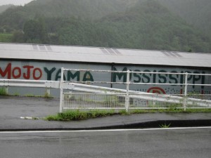 画像(300x225)・拡大画像(640x480)