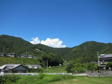 画像(435x326)・拡大画像(640x480)