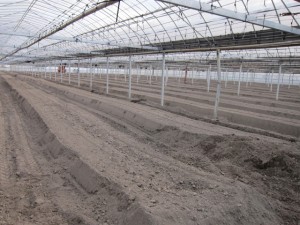 画像(300x225)・拡大画像(640x480)