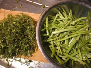 画像(300x225)・拡大画像(640x480)