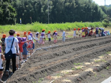 画像(435x326)・拡大画像(640x480)