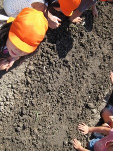 画像(225x300)・拡大画像(480x640)