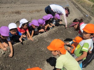 画像(300x225)・拡大画像(640x480)