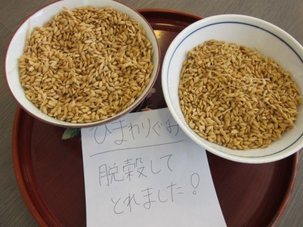 画像(435x326)・拡大画像(640x480)