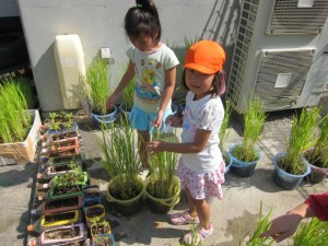 画像(300x225)・拡大画像(640x480)