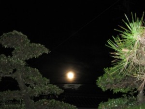 画像(300x225)・拡大画像(640x480)