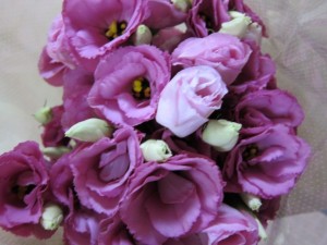 画像(300x225)・拡大画像(640x480)