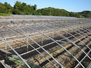 �摜(300x225)�E�g��摜(640x480)