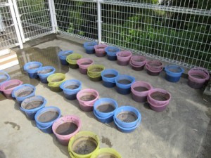 画像(300x225)・拡大画像(640x480)