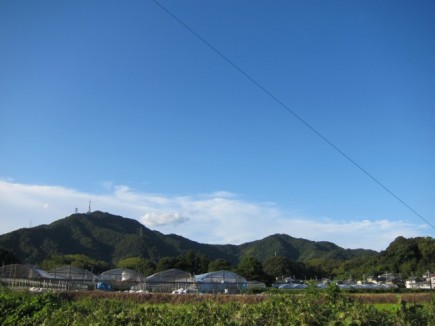 �摜(435x326)�E�g��摜(640x480)