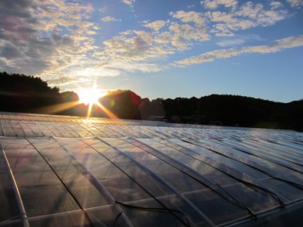 画像(435x326)・拡大画像(640x480)