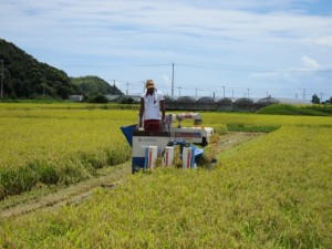 画像(300x225)・拡大画像(640x480)