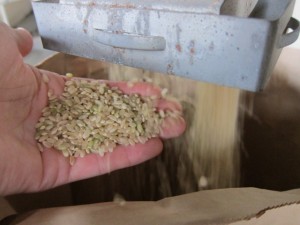 画像(300x225)・拡大画像(640x480)