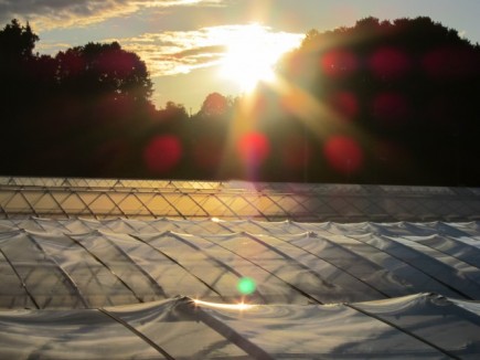 画像(435x326)・拡大画像(640x480)