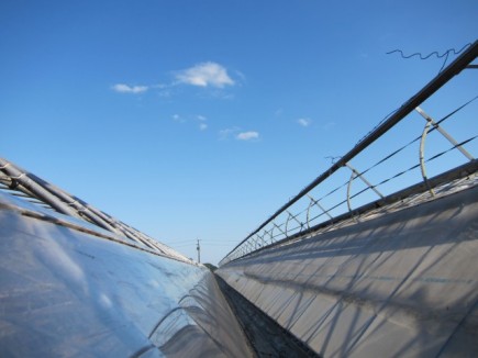 �摜(435x326)�E�g��摜(640x480)