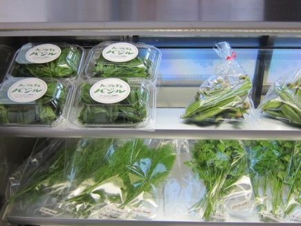 画像(435x326)・拡大画像(640x480)