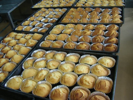 画像(435x326)・拡大画像(640x480)