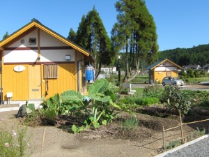 画像(300x225)・拡大画像(640x480)