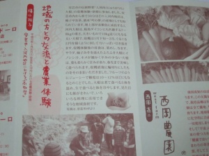 画像(300x225)・拡大画像(640x480)