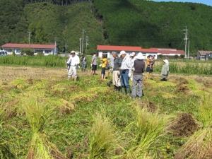 画像(300x225)・拡大画像(640x480)