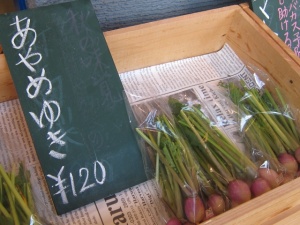 画像(300x225)・拡大画像(640x480)