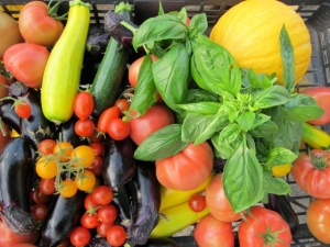 �摜(300x225)�E�g��摜(640x480)