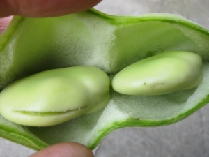 �摜(300x225)�E�g��摜(640x480)