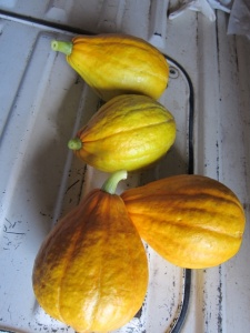 �摜(225x300)�E�g��摜(480x640)