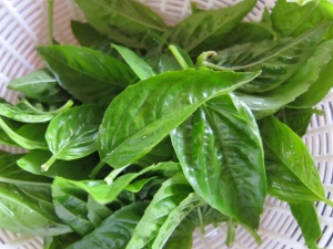 画像(300x225)・拡大画像(640x480)