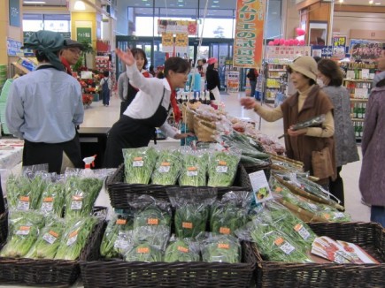 画像(435x326)・拡大画像(640x480)