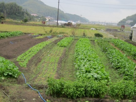 画像(435x326)・拡大画像(640x480)