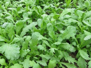 �摜(300x225)�E�g��摜(640x480)