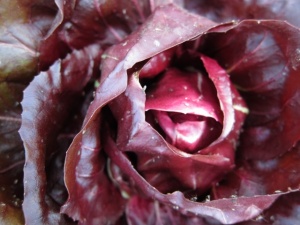 �摜(300x225)�E�g��摜(640x480)