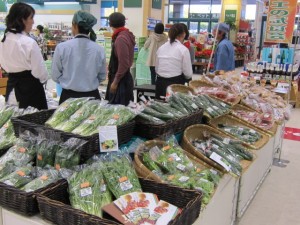 画像(300x225)・拡大画像(640x480)