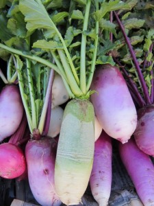 画像(225x300)・拡大画像(480x640)