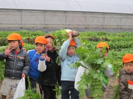 画像(435x326)・拡大画像(640x480)