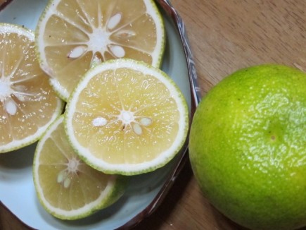 �摜(435x326)�E�g��摜(640x480)