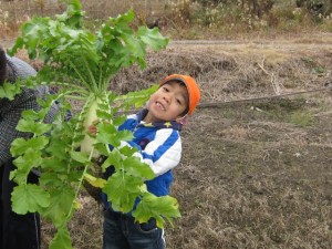 画像(300x225)・拡大画像(640x480)