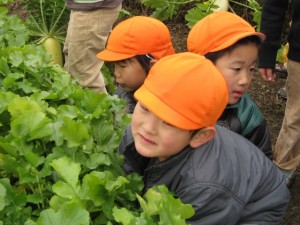 画像(300x225)・拡大画像(640x480)