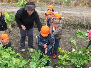 画像(300x225)・拡大画像(640x480)