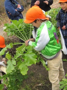 画像(225x300)・拡大画像(480x640)