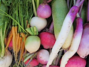 �摜(300x225)�E�g��摜(640x480)